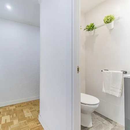 Your Large Family In Zaragoza